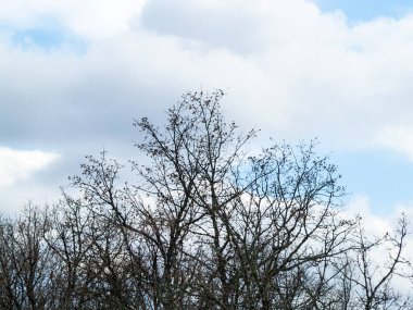 gökyüzünde fırtınalı bulutlar. Doğa