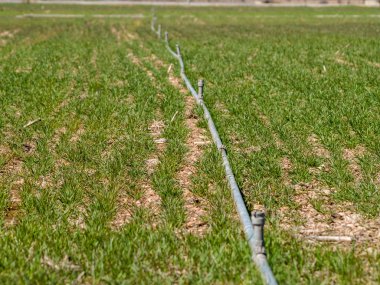 Kırsal İspanya sulama sistemi