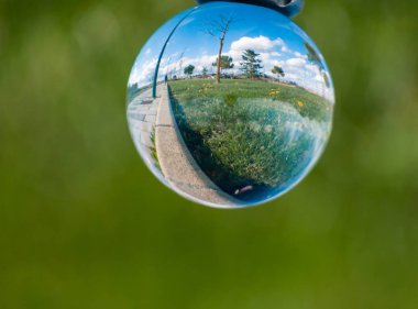 Kristal bir top içinde ilkbaharda bir bahçede karahindiba yansımaları  