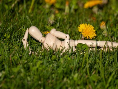 Doğal arka planda tahta manken, konsept