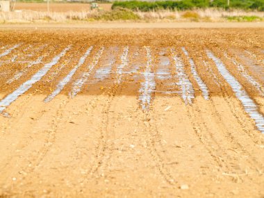 İspanya'da kırsal alanda sulama sistemi
