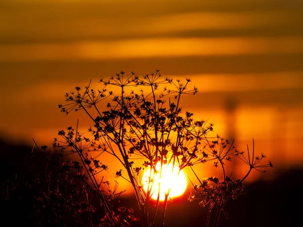 Vackert Solnedgångs Landskap Spanien Natur — Stockfoto