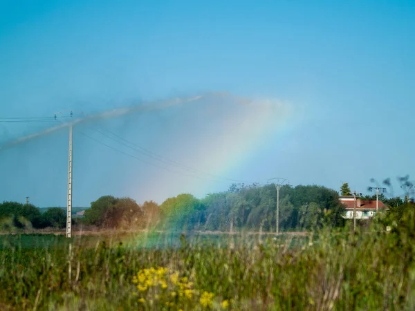 Regenbogen Über Einem Grünen Frühlingsfeld — Stockfoto