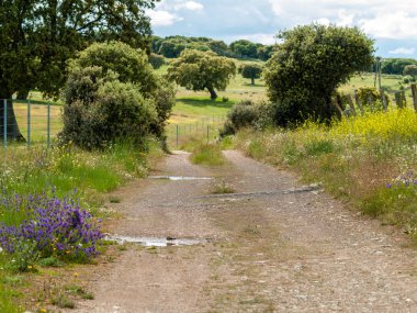 Kırsal, İspanya'da güzel manzara 