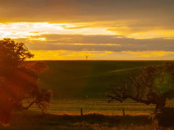 Puesta Sol Campo Cabeza Diego Gómez Salamanca España — Foto de Stock