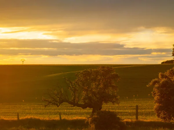 Puesta Sol Campo Cabeza Diego Gómez Salamanca España — Foto de Stock