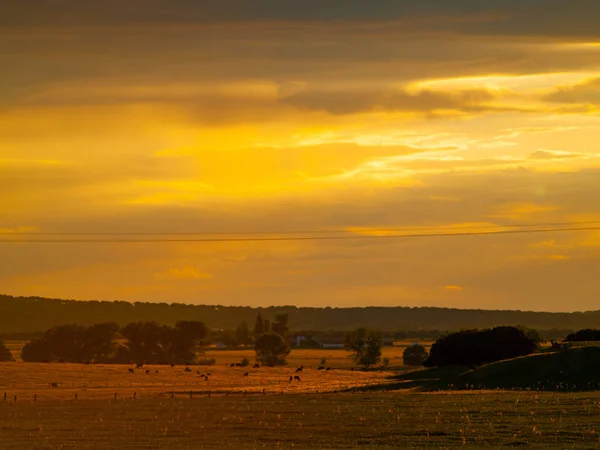 Puesta Sol Campo Cabeza Diego Gómez Salamanca España — Foto de Stock