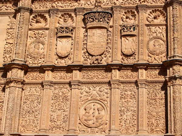 Ősi Történelmi Katedrális Salamanca Spanyolország — Stock Fotó