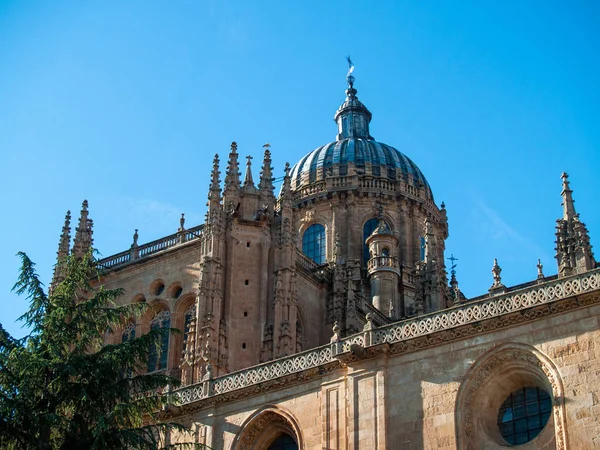 Historisk Katedral Salamanca Spanien — Stockfoto