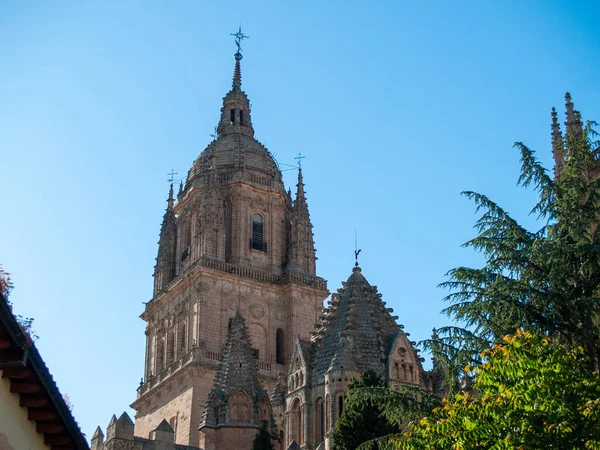 Cattedrale Storica Salamanca Spagna — Foto Stock