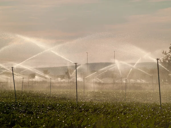 Sistema de irrigação na zona rural — Fotografia de Stock