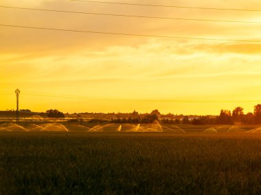 Salamanca'da gün batımı manzarası , İspanya