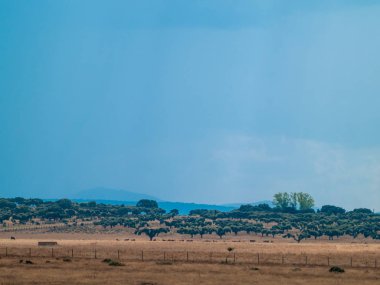 İspanya'da yaz gününde güzel manzara  