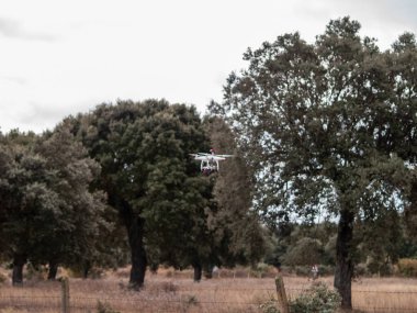 Bir dron ormandaki ağaçlar Salamanca, İspanya yakınındaki uçan hareket