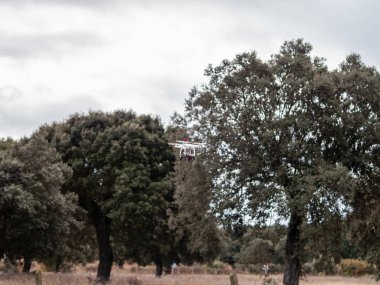 Bir dron ormandaki ağaçlar Salamanca, İspanya yakınındaki uçan hareket