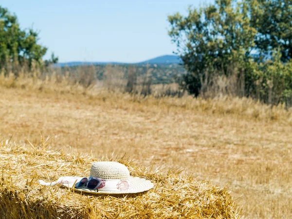 straw hat on summer field