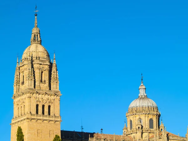 Antica Cattedrale Storica Salamanca Spagna — Foto Stock