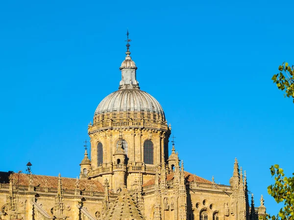 Gamla Historiska Katedralen Salamanca Spanien — Stockfoto