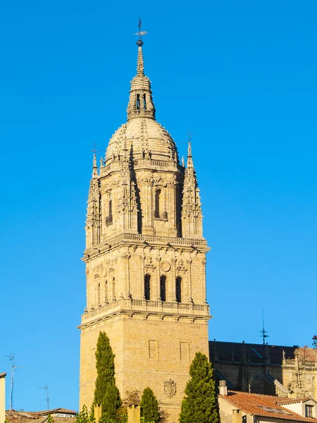 Salamanca Spanya Daki Antik Tarihi Katedral — Stok fotoğraf