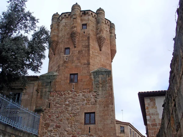 Kamenný Hrad Salamanca Španělsko — Stock fotografie