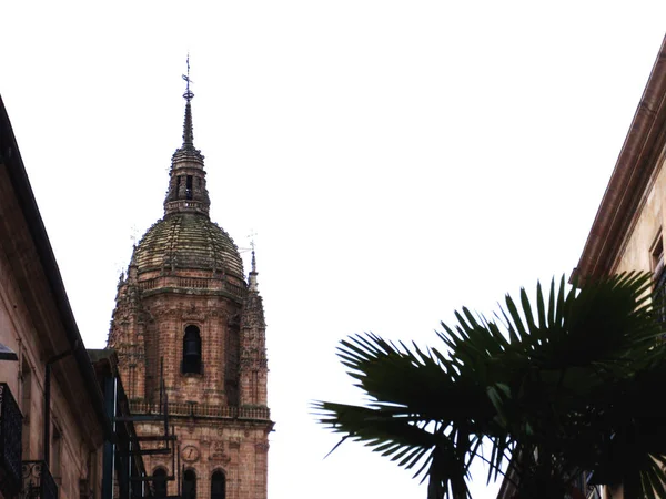 Salamanca Spanya Dünya Mirası Katedrali — Stok fotoğraf
