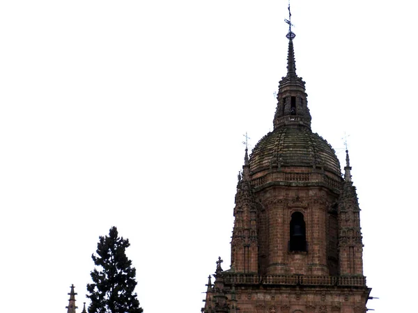 Cathédrale Salamanque Espagne Patrimoine Mondial — Photo