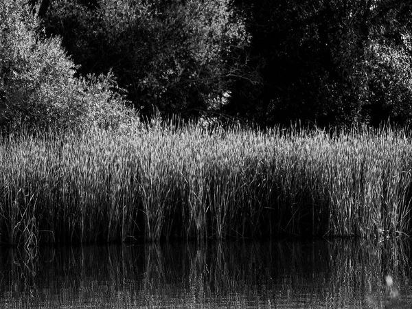 Hermoso Lago España Naturaleza Viajes — Foto de Stock