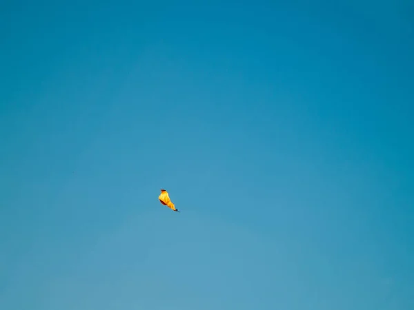 Autunno Foglia Sfondo Cielo Blu — Foto Stock