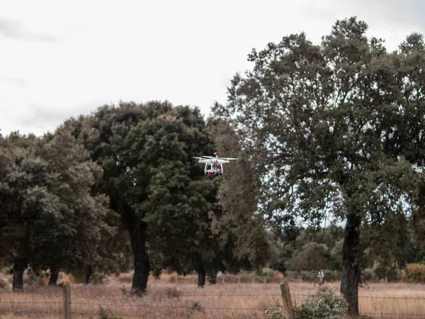 Dron Movimiento Volando Bosque Cerca Los Árboles Salamanca España — Foto de Stock
