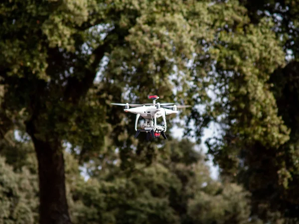スペイン サラマンカの木近くの森の飛行動きのドローン — ストック写真