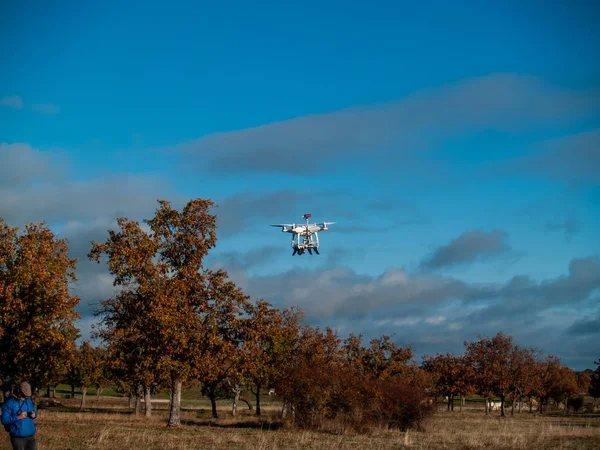 Bir dron ormandaki ağaçlar Salamanca, İspanya yakınındaki uçan hareket