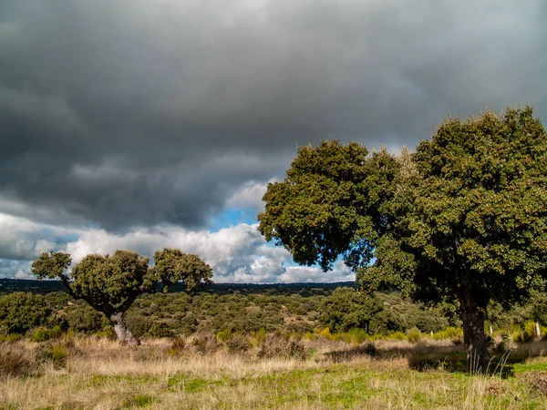 Hermoso Paisaje Día Verano España — Foto de Stock