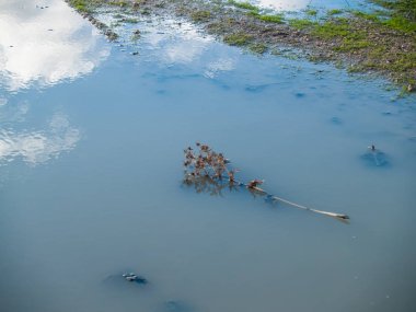  kırsal baharda su birikintisi 