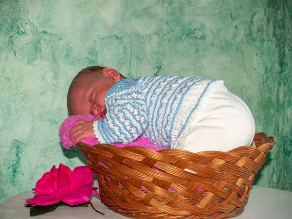 Newborn Baby Sleeping Basket — Stock Photo, Image