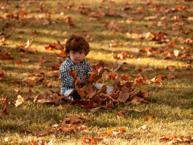 İki kardeş çocukları ağaçların yaprakları ile oynarken bir parkta yerdeki sonbaharda düşmüş