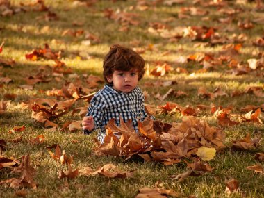 İki kardeş çocukları ağaçların yaprakları ile oynarken bir parkta yerdeki sonbaharda düşmüş