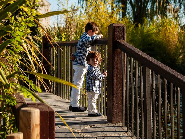 Zwei Süße Jungen Stehen Auf Brücke — Stockfoto