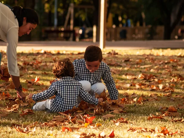 Dos Hermanos Jugando Con Las Hojas Los Árboles Caídos Suelo — Foto de Stock