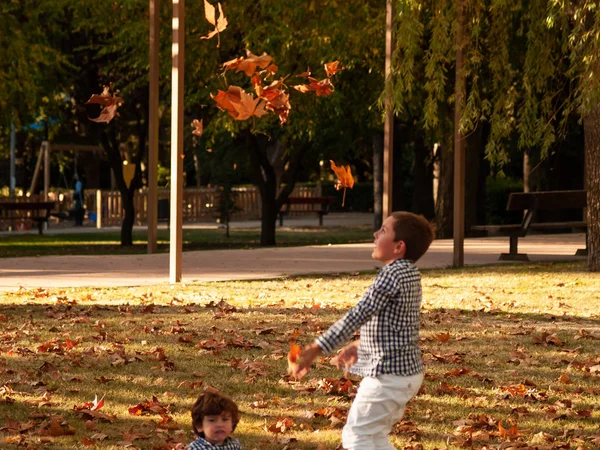 Dos Hermanos Jugando Con Las Hojas Los Árboles Caídos Suelo — Foto de Stock