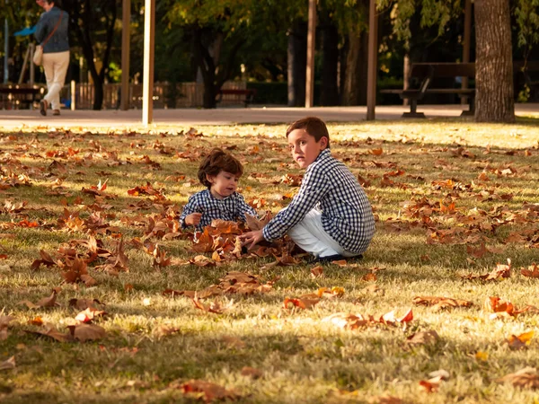 Dos Hermanos Jugando Con Las Hojas Los Árboles Caídos Suelo — Foto de Stock