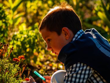 büyüteç ile sonbaharda bir parkta sevimli küçük çocuk