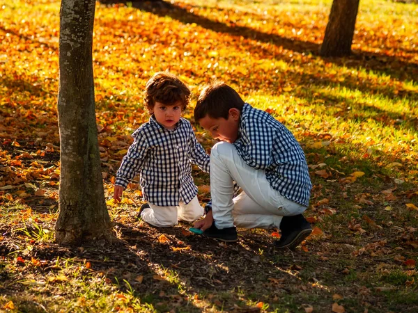 Zwei Süße Jungen Spielen Park Mit Lupe — Stockfoto