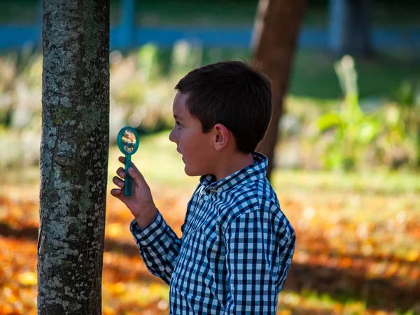 Lindo Niño Parque Otoño Con Lupa — Foto de Stock