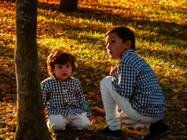 Niños Lindos Parque Otoño — Foto de Stock