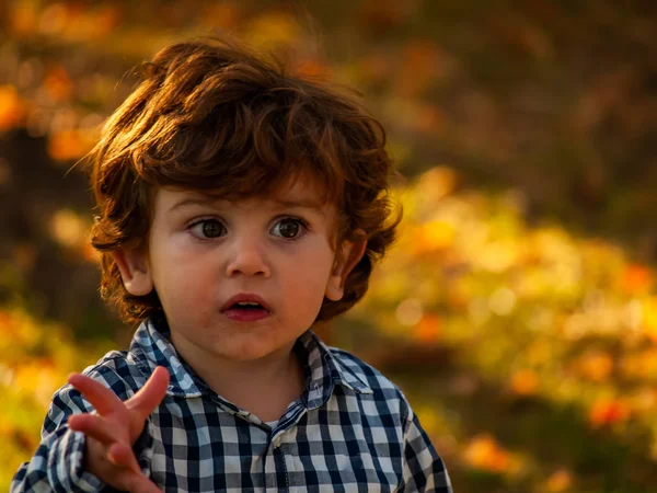 Cute Little Boy Park Autumn — Stock Photo, Image