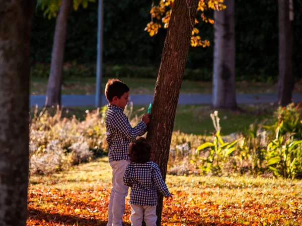 Cute Little Boys Parku Jesienią — Zdjęcie stockowe