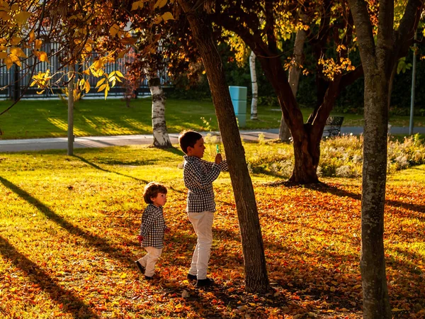 Niedlichen Kleinen Jungen Einem Park Herbst — Stockfoto