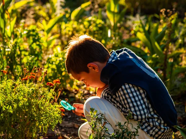 Lindo Niño Parque Otoño Con Lupa — Foto de Stock