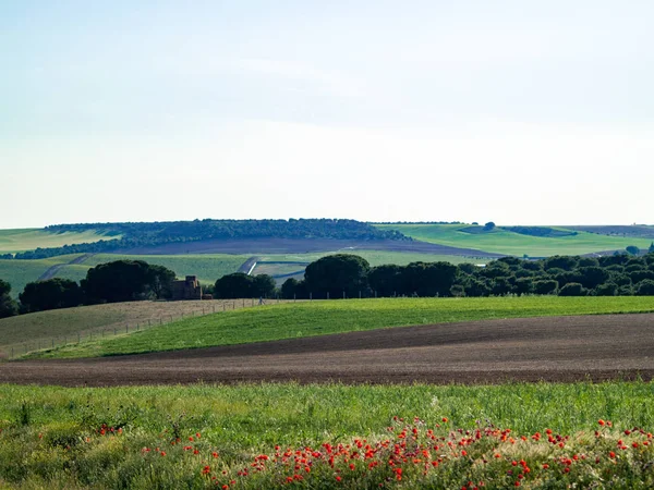 Agricultura Campo Salamanca España — Foto de Stock