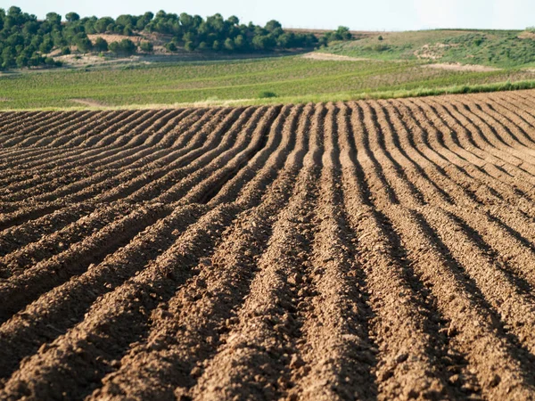 Mezőgazdaság Mező Alba Tormes Salamanca Spanyolország — Stock Fotó
